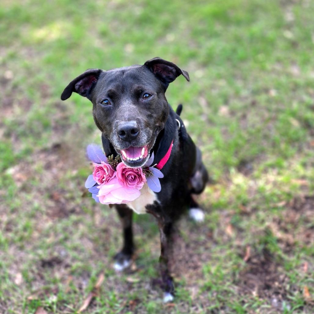 Tiana — thumbnail 5