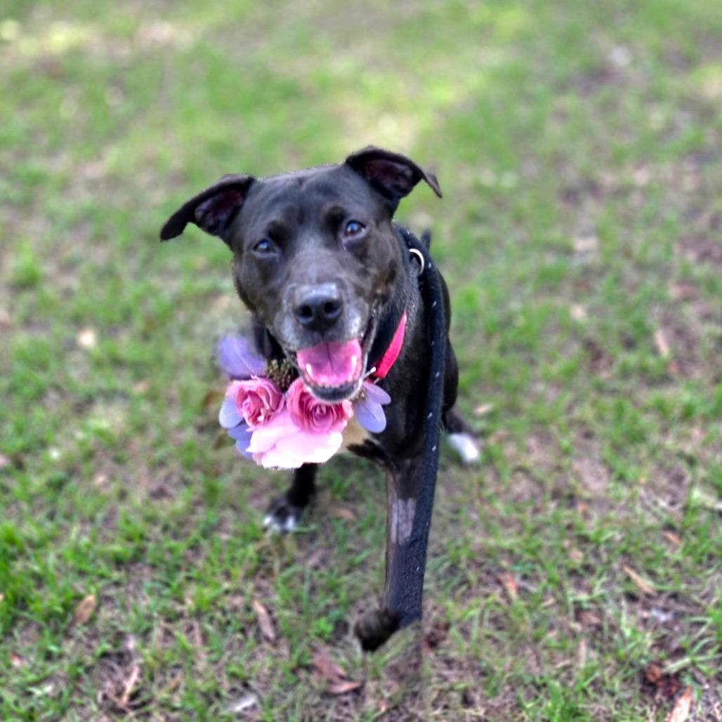 Tiana — thumbnail 6