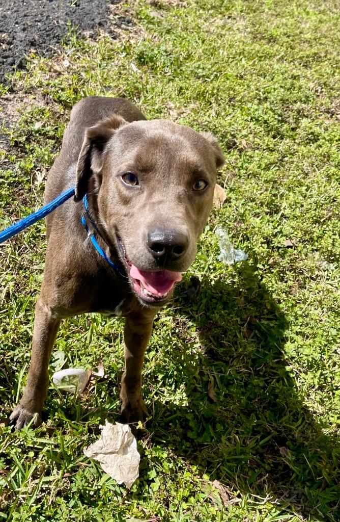 Blue — thumbnail 3