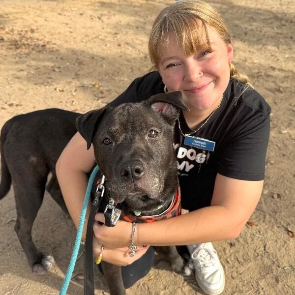 Tom Jones the Squishy Faced Snuggle King — thumbnail 2