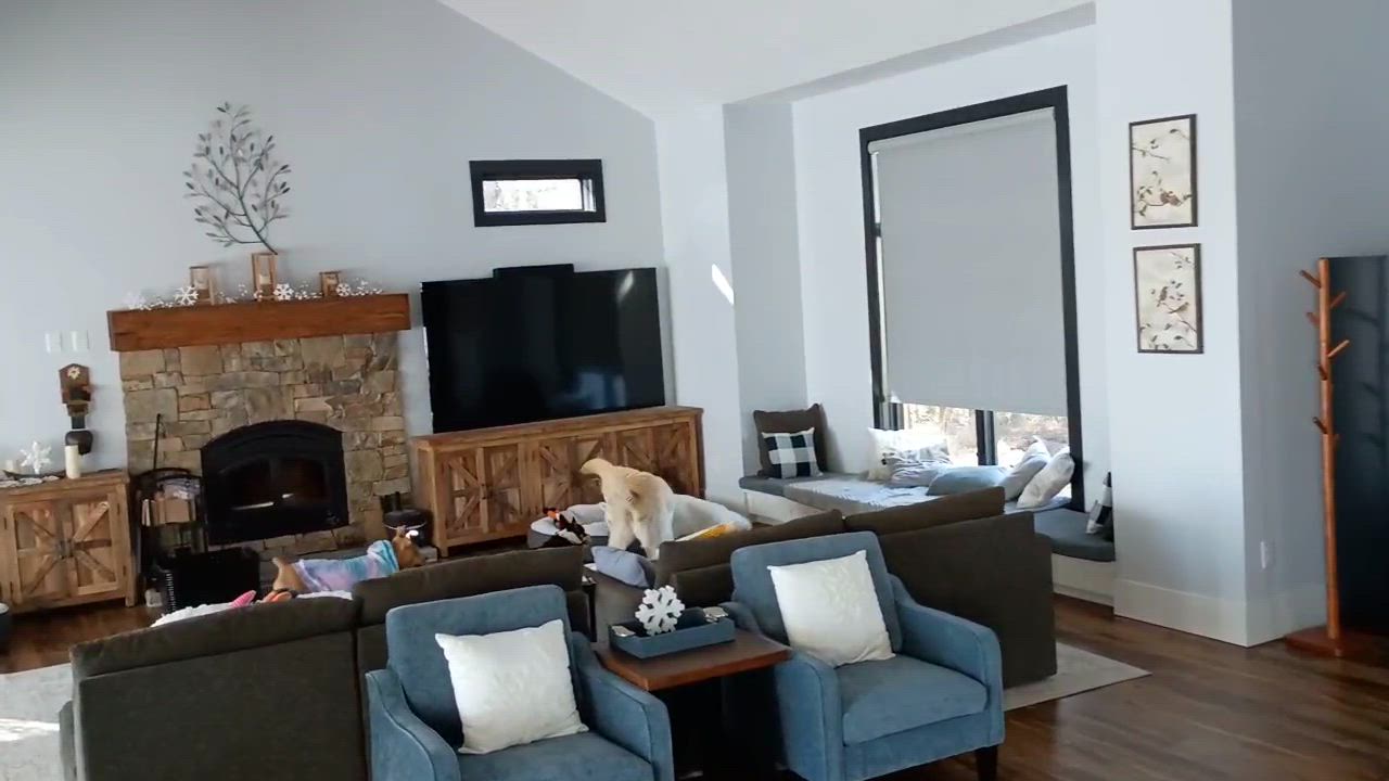 Enlarge Gracie - s, a Adoptable mixed breed in Sequatchie, TN video 6/6