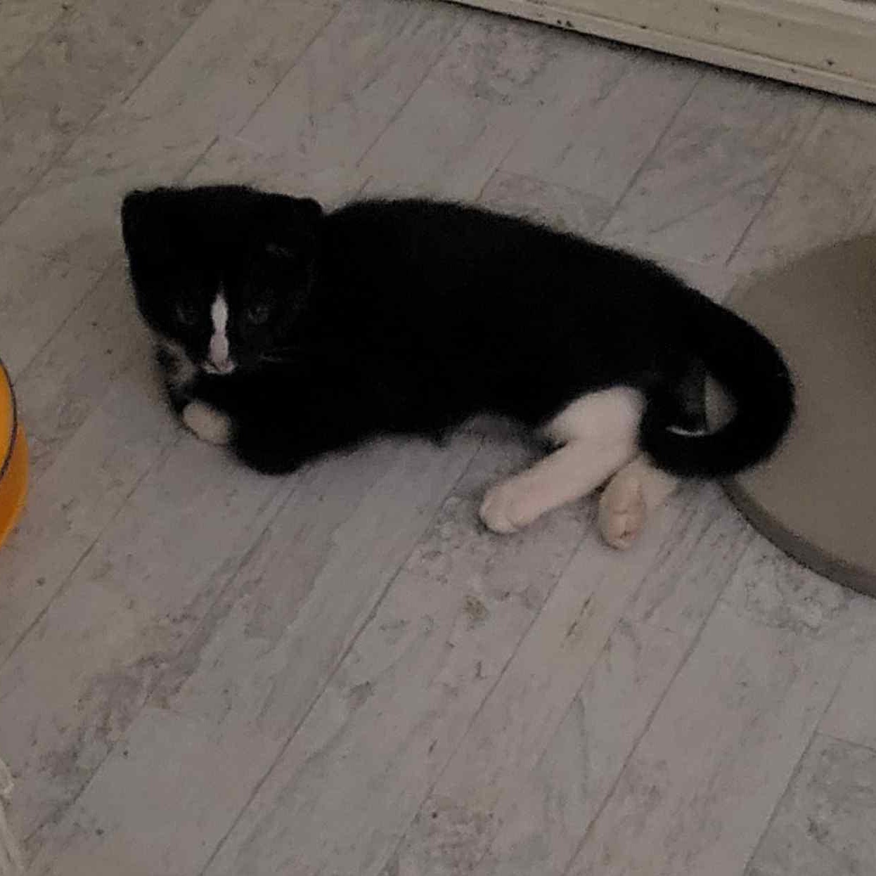 Little Ricky
