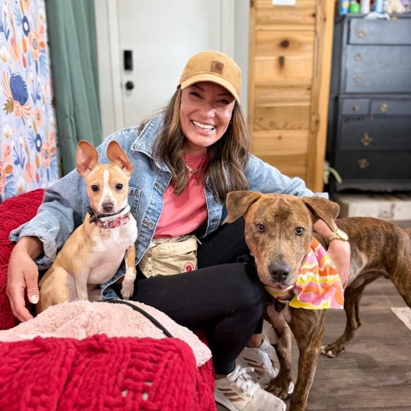 Kermit The Dog — thumbnail 3