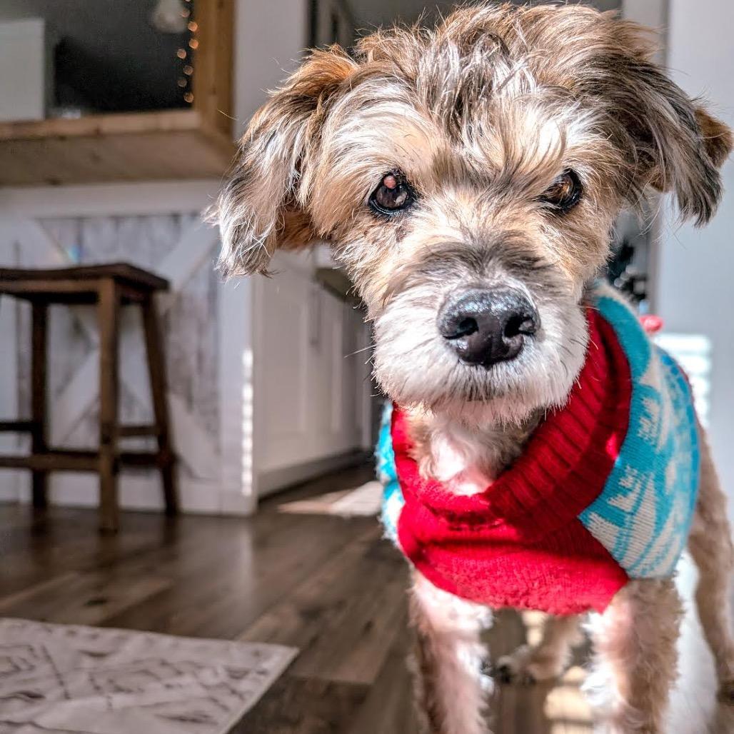 Mehoy Minoy thumbnail 2