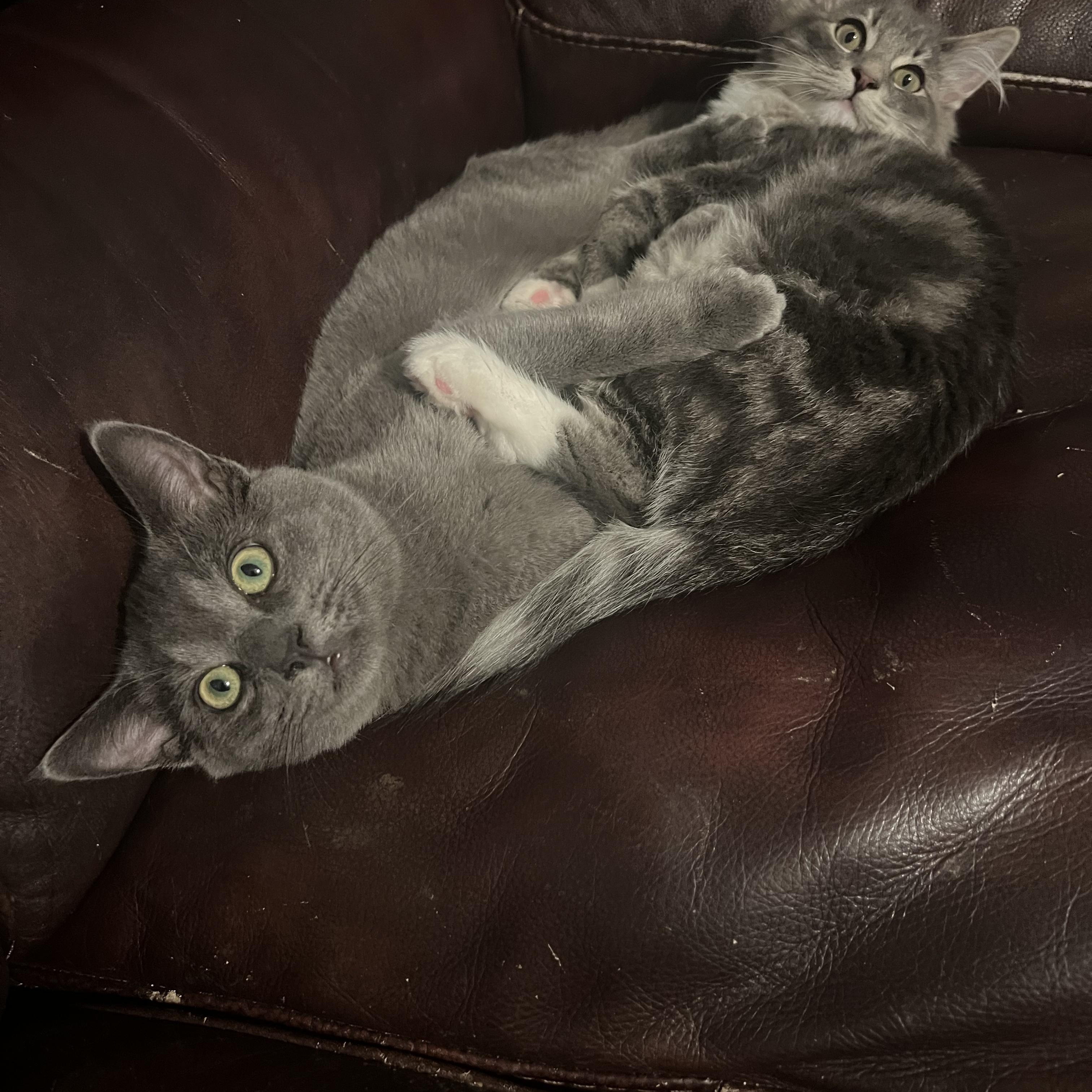 Squish 0125 — thumbnail 2