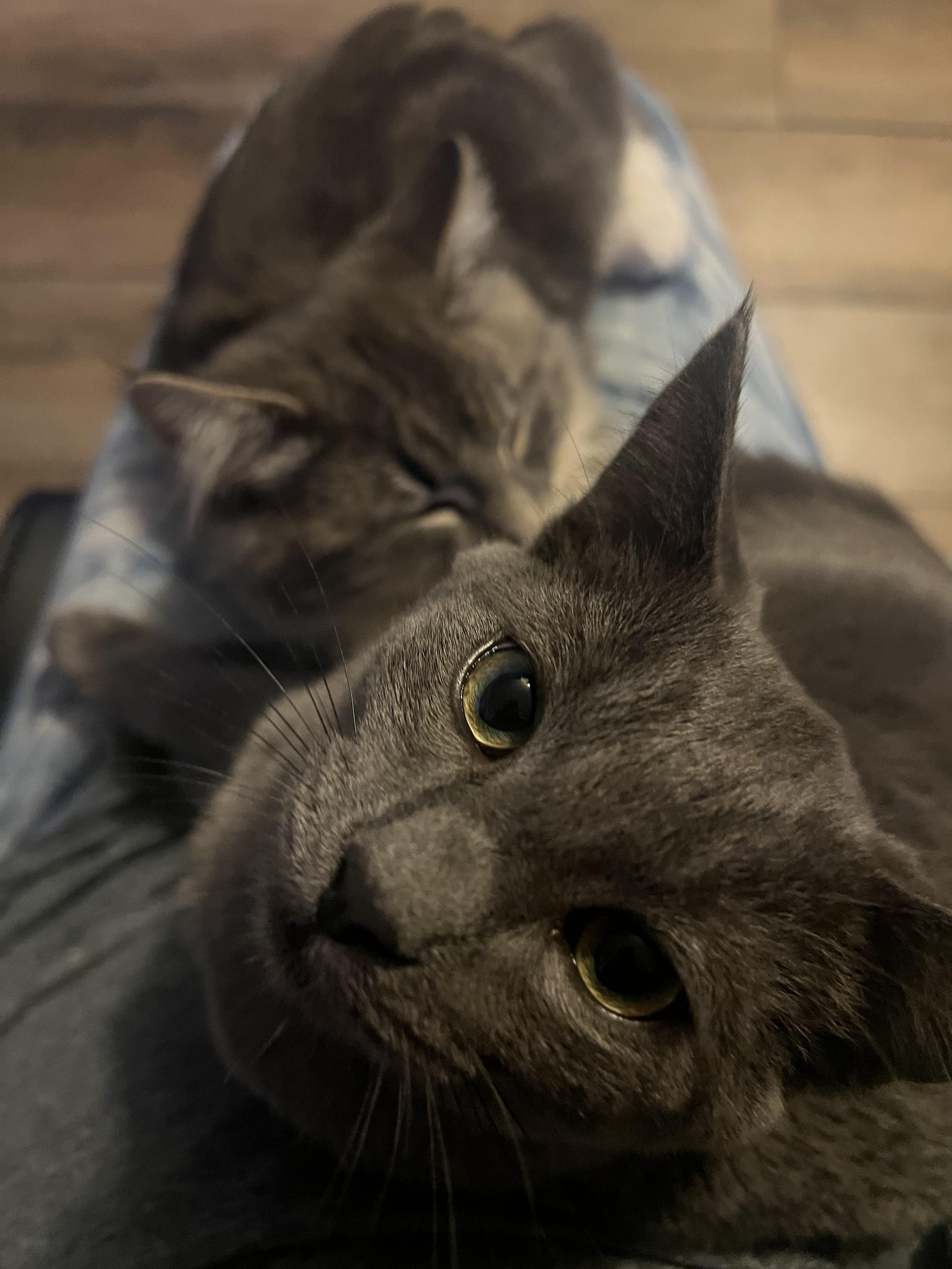 Squish 0125 — thumbnail 3