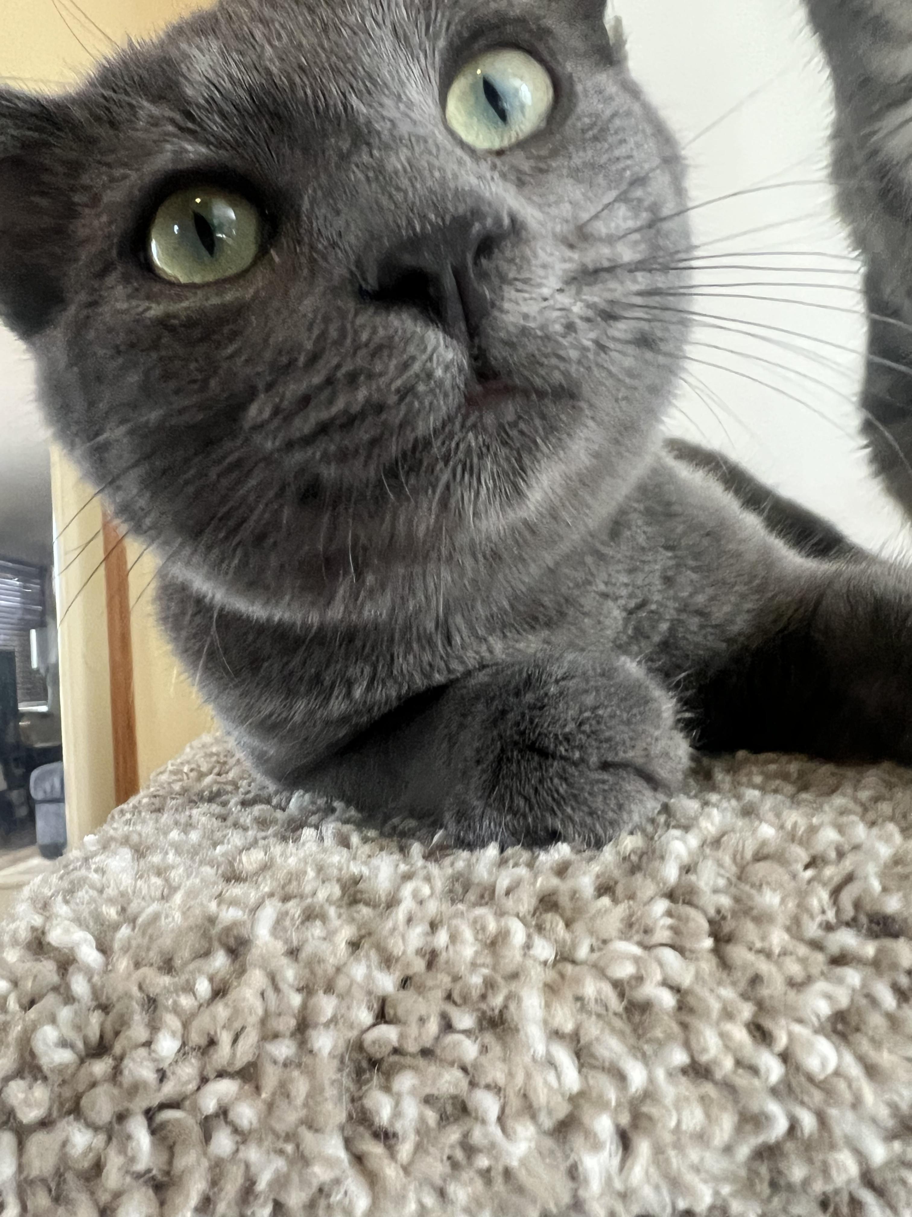 Squish 0125 — thumbnail 4