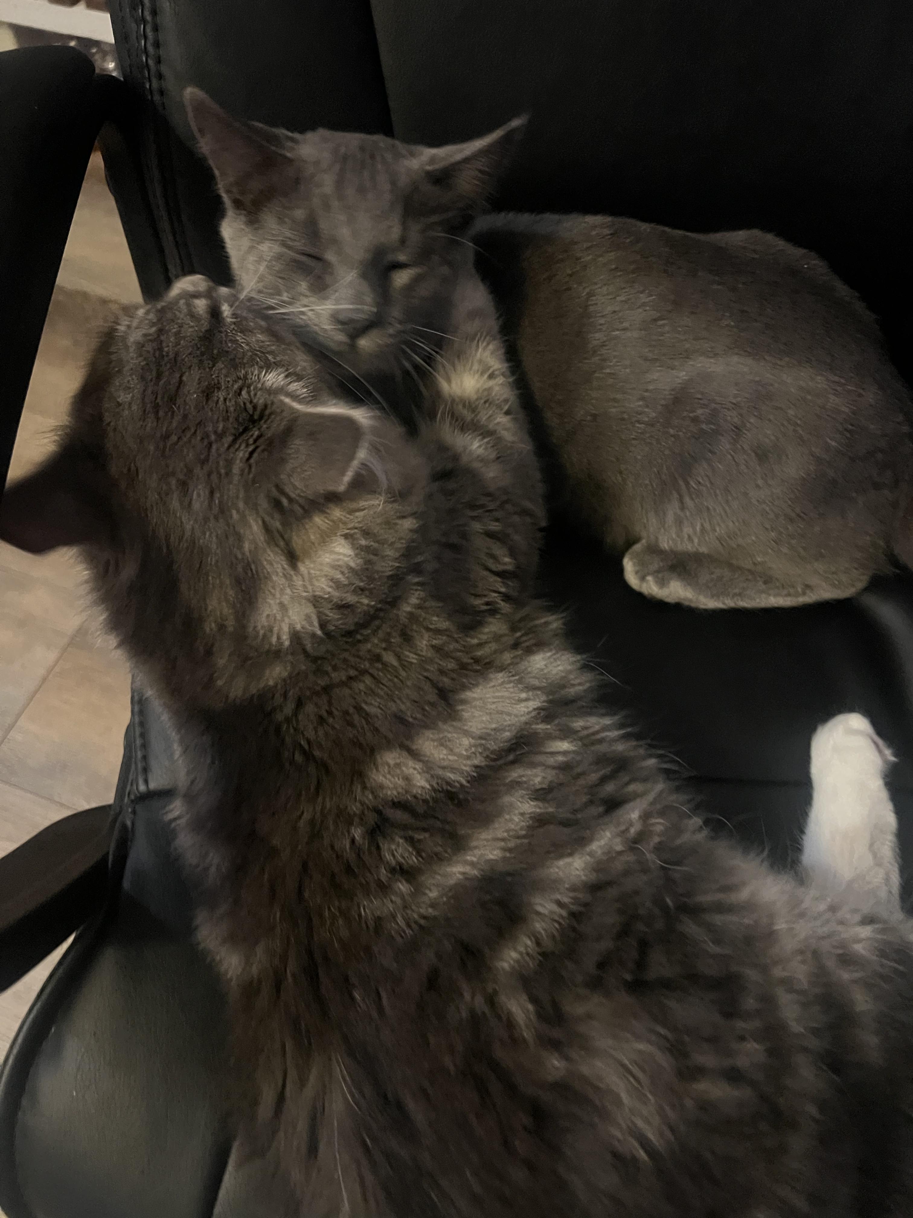 Squish 0125 — thumbnail 5