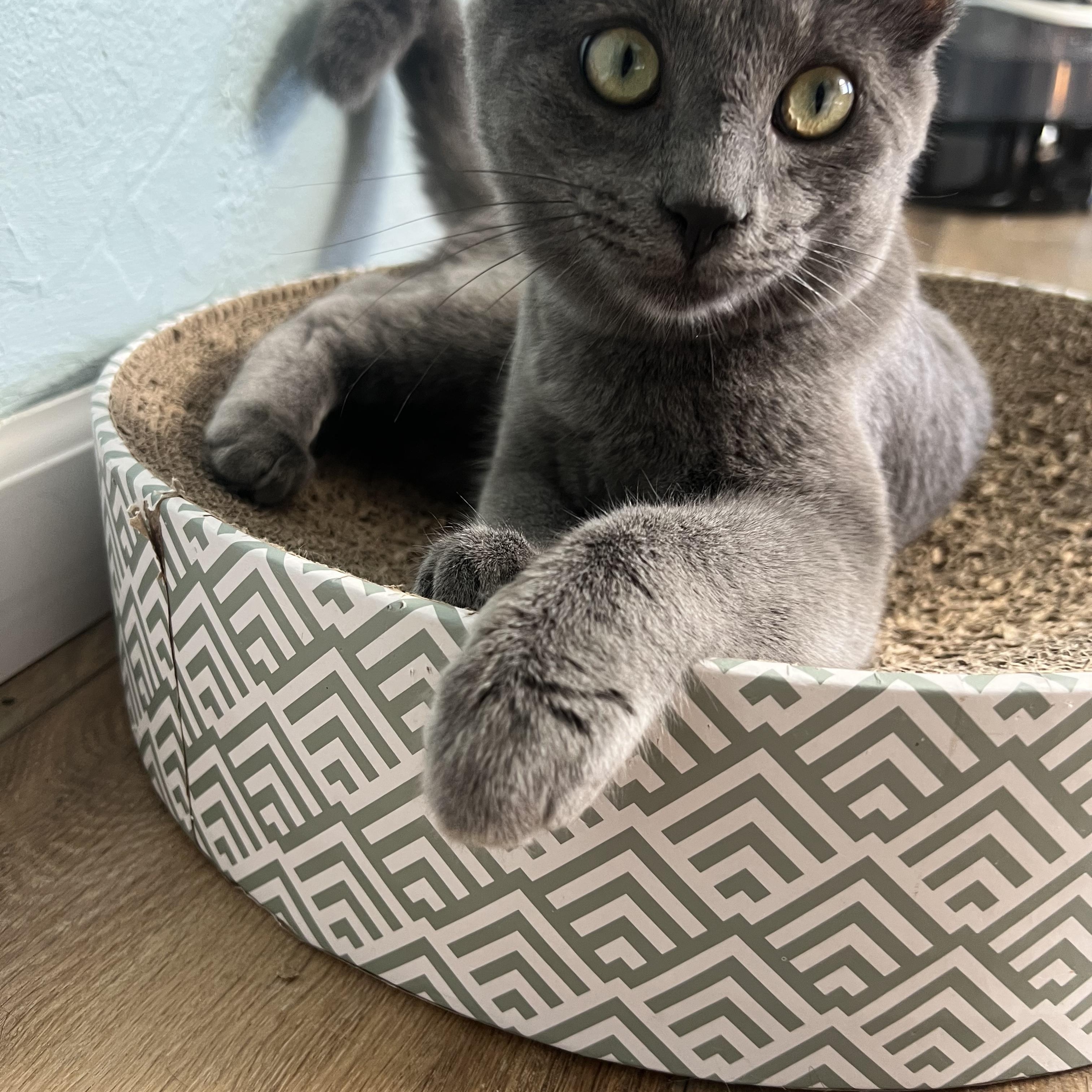 Squish 0125 — thumbnail 6