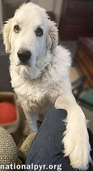 Ruth in OH - Always Asking For More Pets!