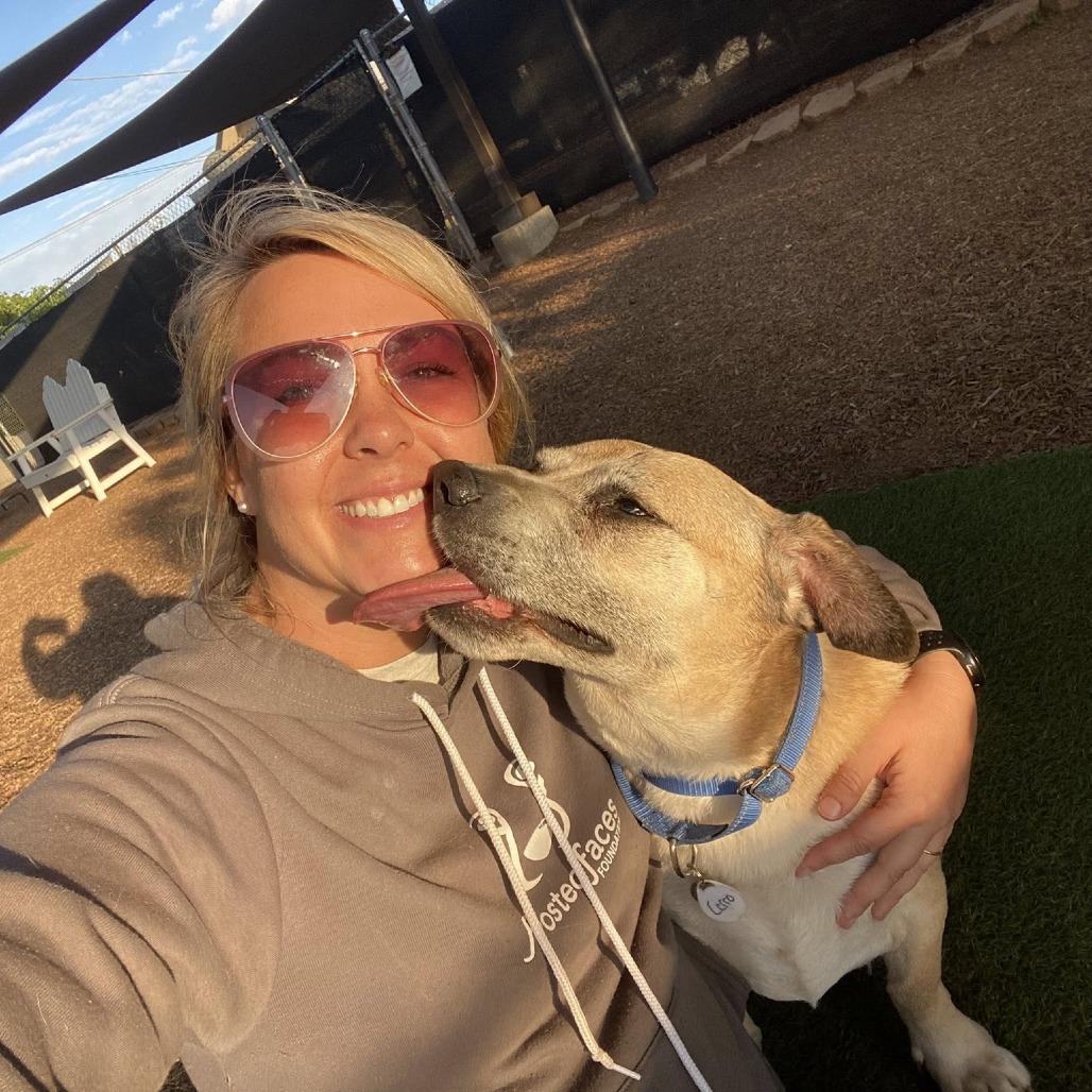 Cerro, a Adoptable Labrador Retriever in Ramona, CA image 1/6