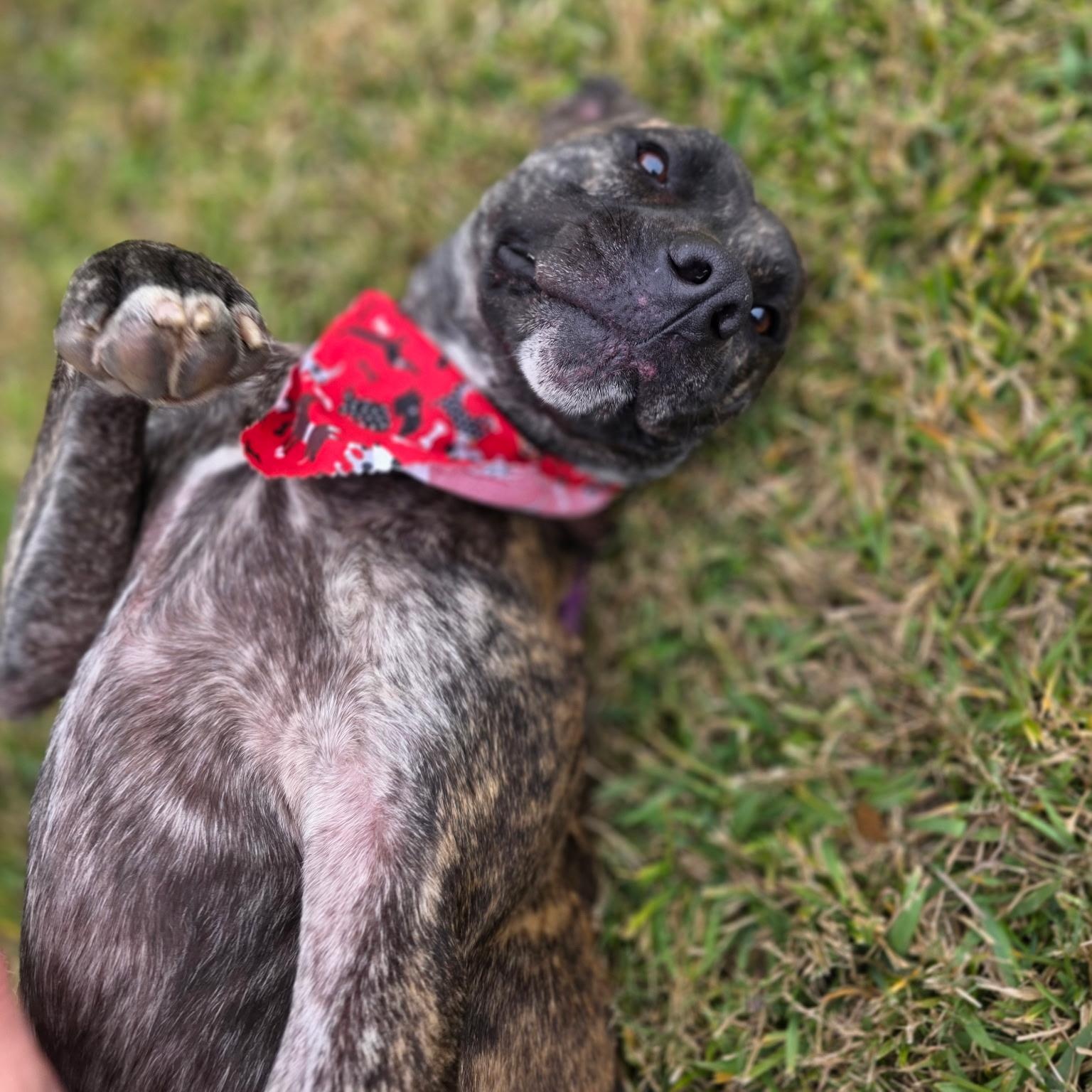 Kendrick — thumbnail 2