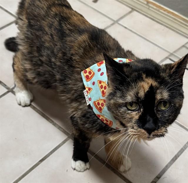 CARMEL — thumbnail 2