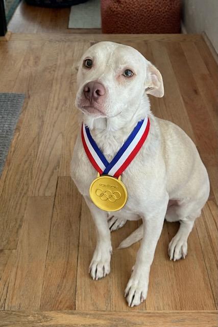 WINNIE, a Adoptable mixed breed in Alpharetta, GA image 3/6