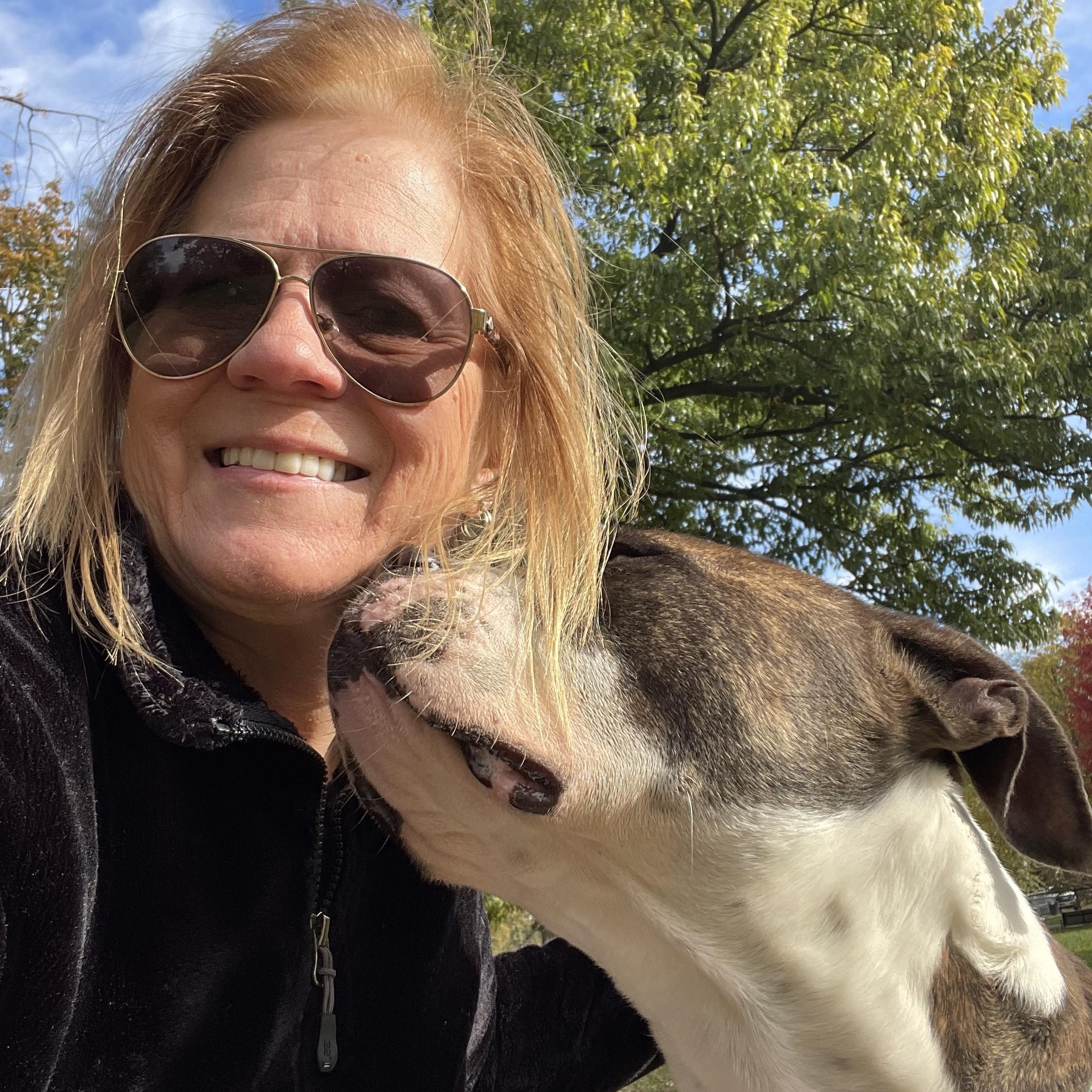 Isaac, a Adoptable American Bully in East Orange, NJ image 4/5