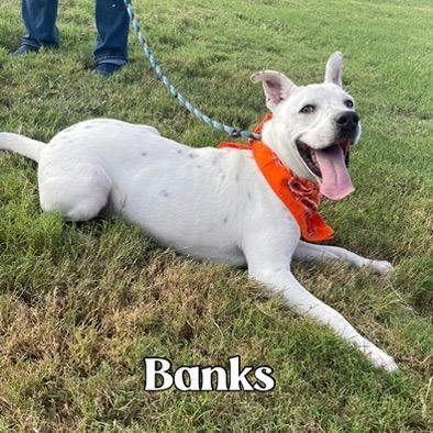 Banks  An All thumbnail 2