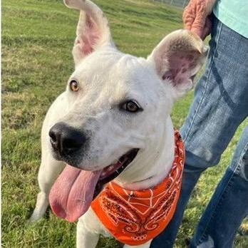 Banks  An All thumbnail 3