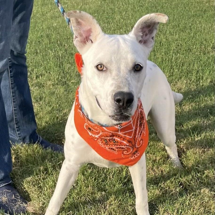 Banks  An All thumbnail 4