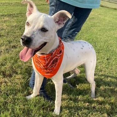 Banks  An All thumbnail 5