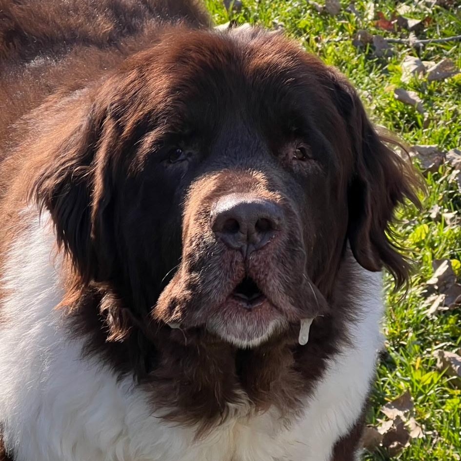 Sully Bonded With Macy thumbnail 2