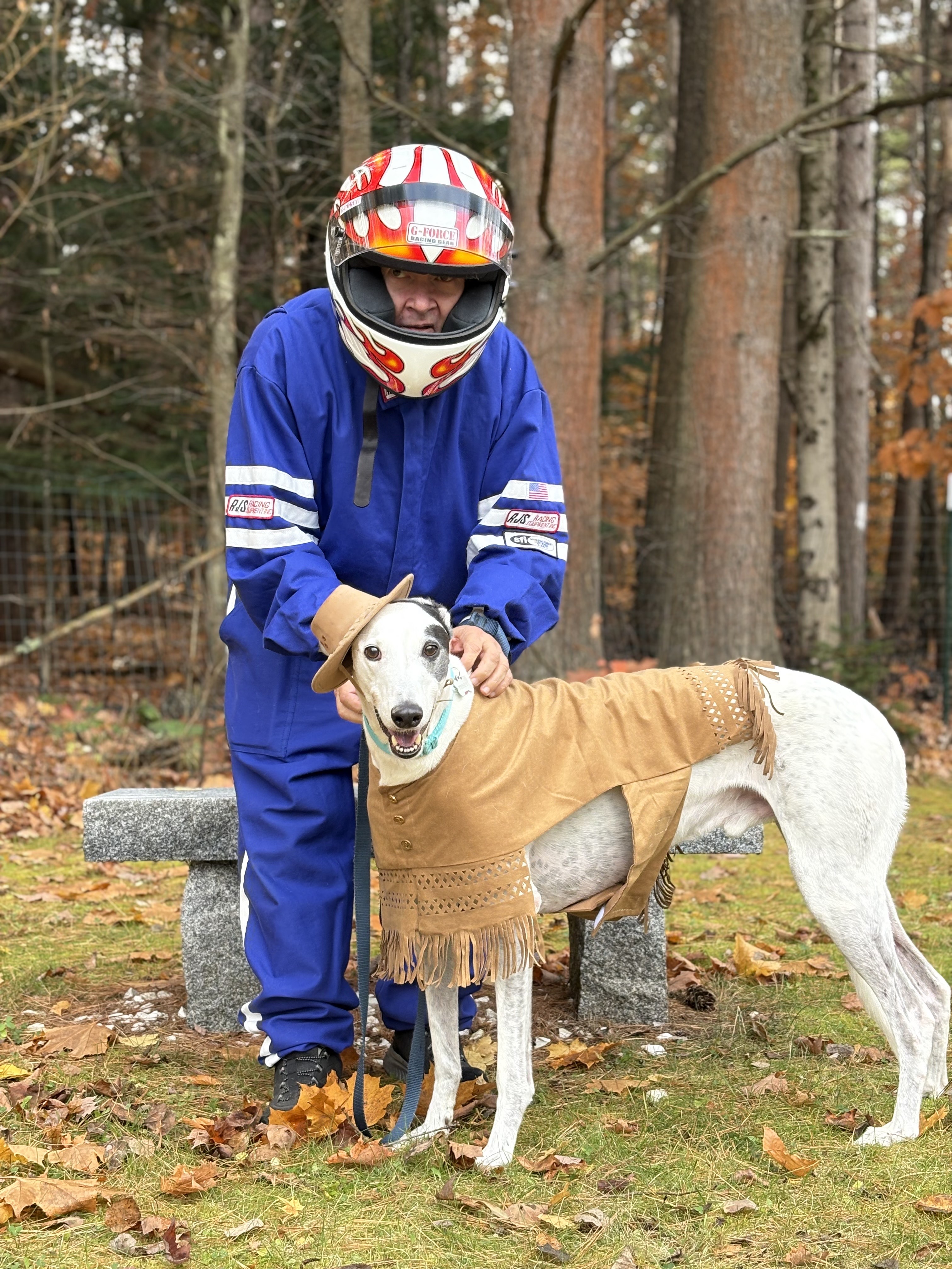 Teddy, a Adoptable Greyhound in Swanzey, NH image 5/5