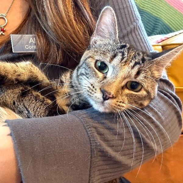 Manhattan New York — thumbnail 2