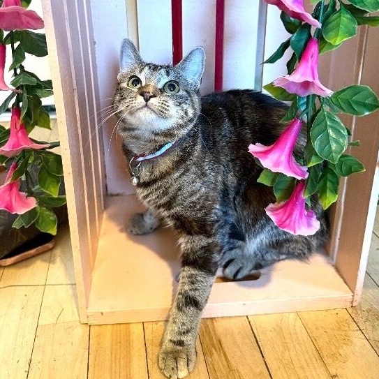 Manhattan New York — thumbnail 5