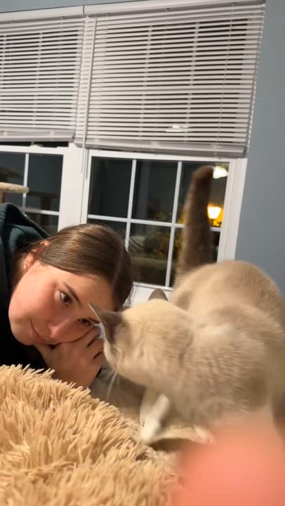 Enlarge Opal, a Adoptable mixed breed in Chesapeake Beach, MD video 6/6