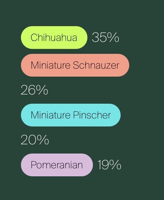 Jake (From State Farm), a Adoptable mixed breed in Speedway, IN image 3/6