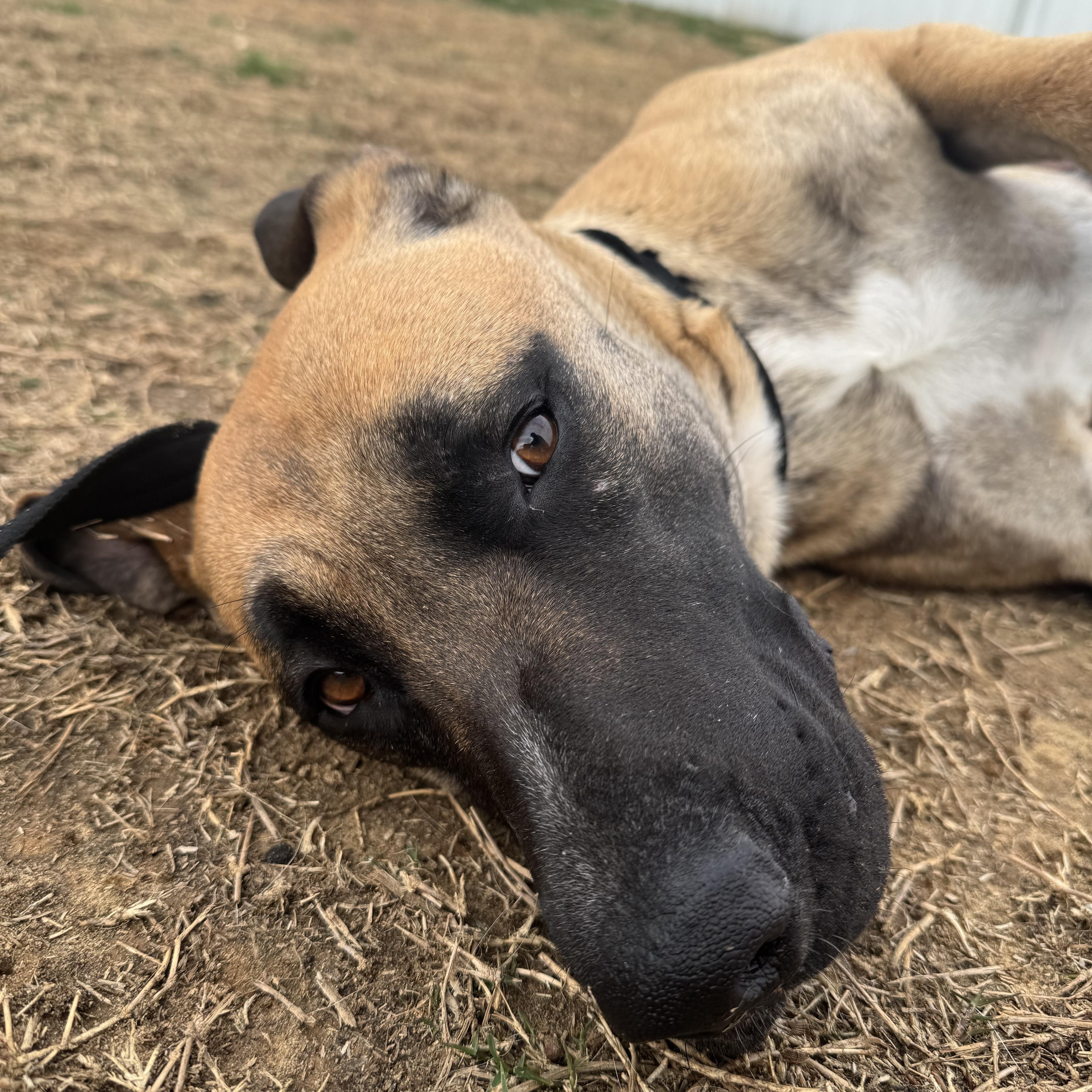 Katarina — thumbnail 2