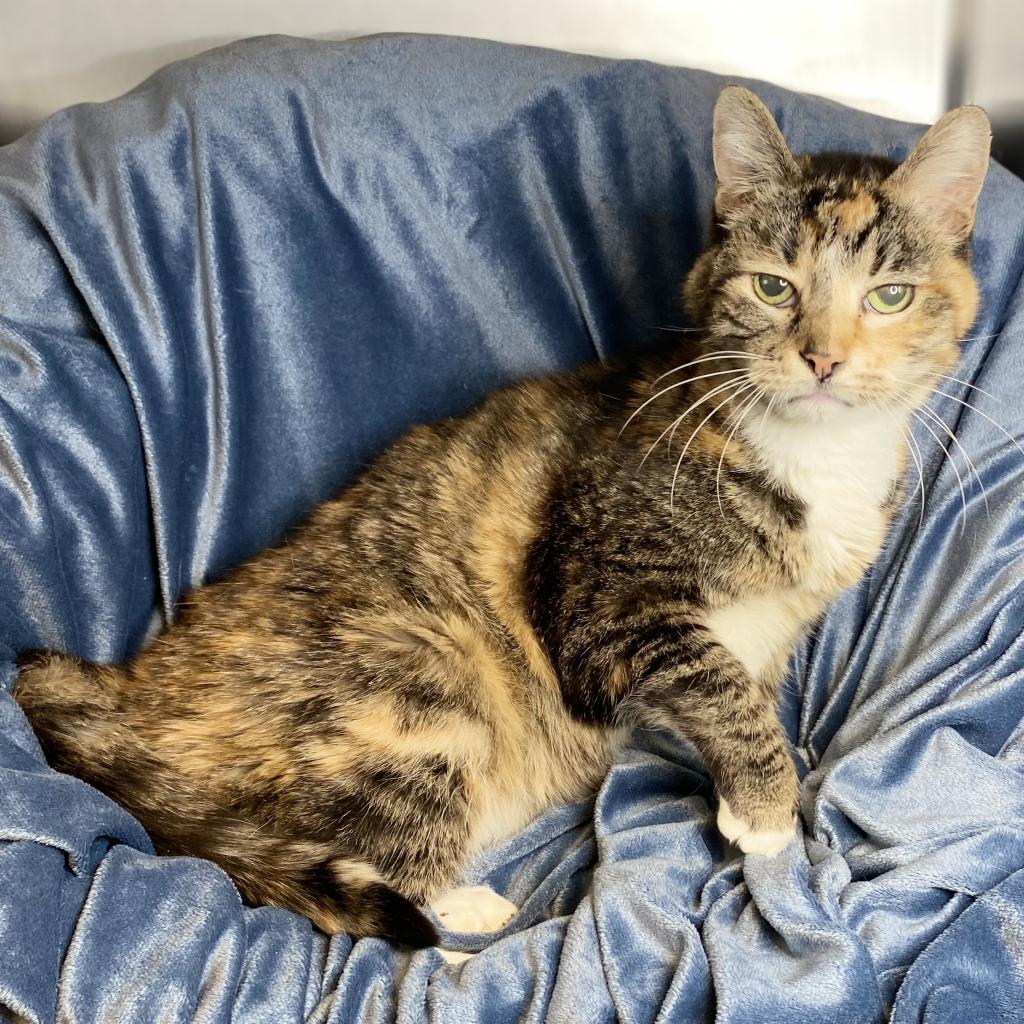 Babushka — thumbnail 5