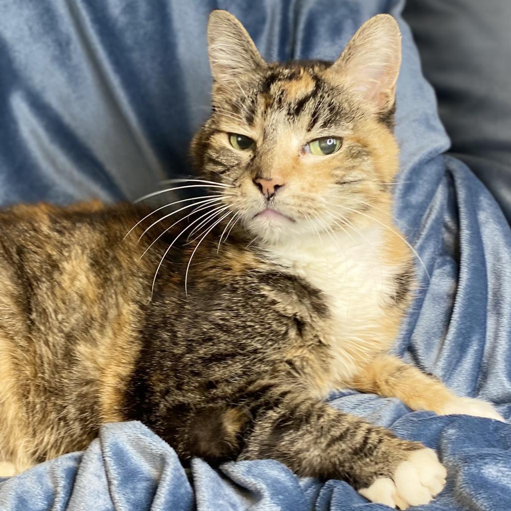 Babushka — thumbnail 6