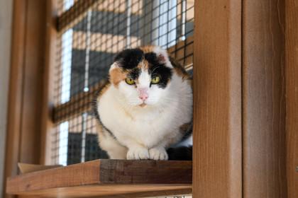 Pisa — thumbnail 5