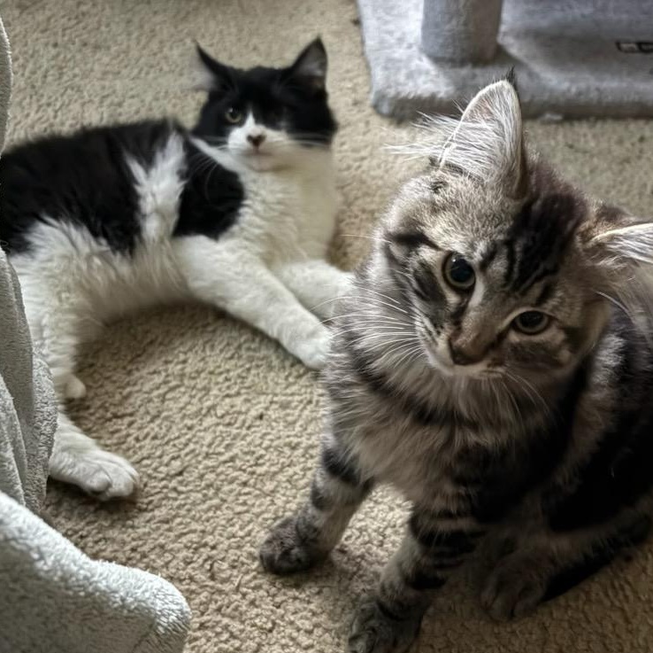 Else Elaine (w/Everest)