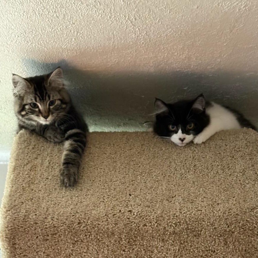 Else Elaine (w/Everest)