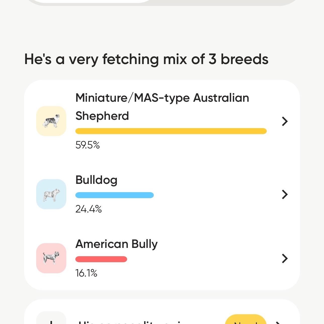 Enlarge Rufus, a ADOPTABLE mixed breed in Kearney, NE image 2/2