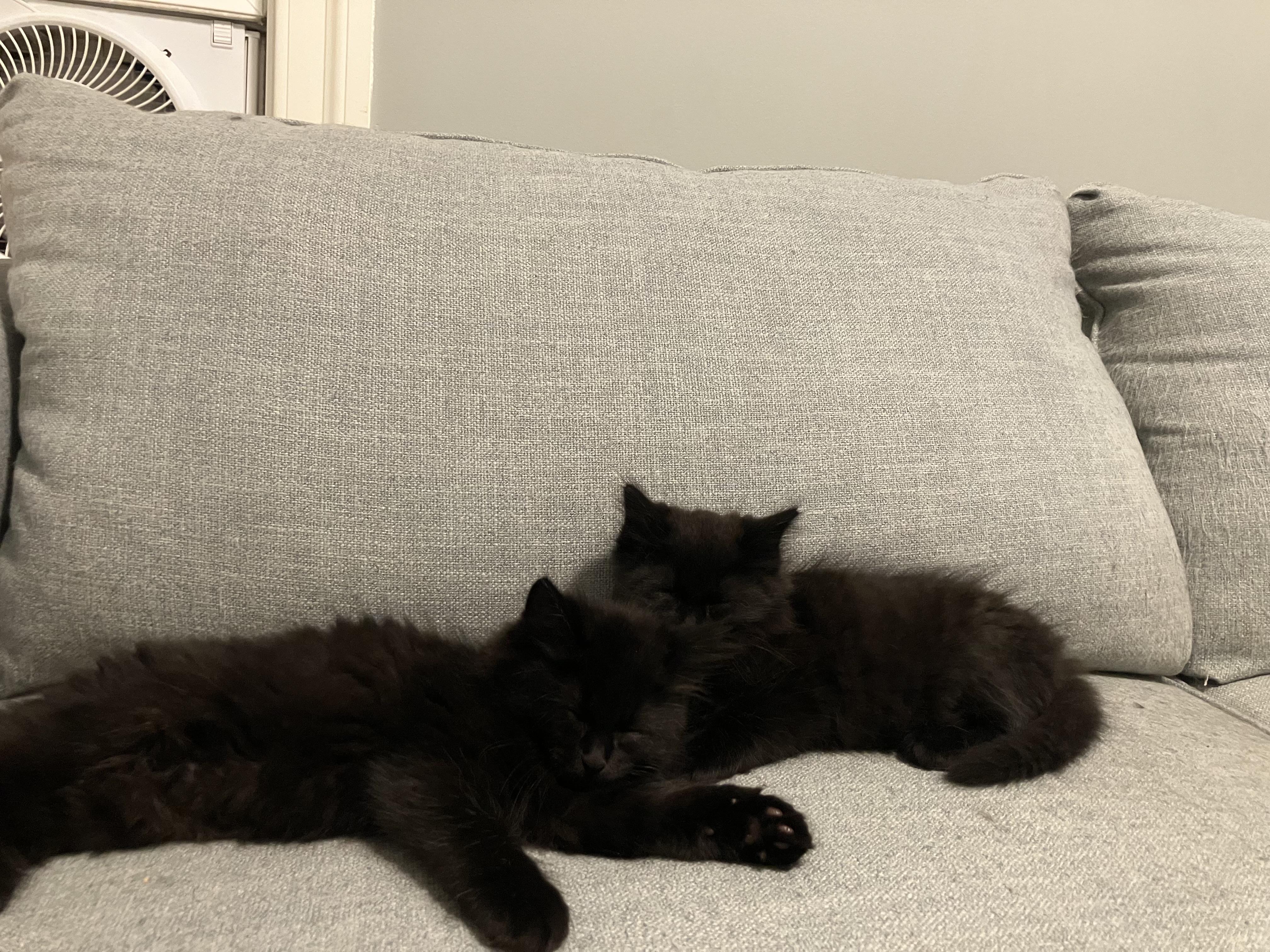 Flounder - Under The Sea