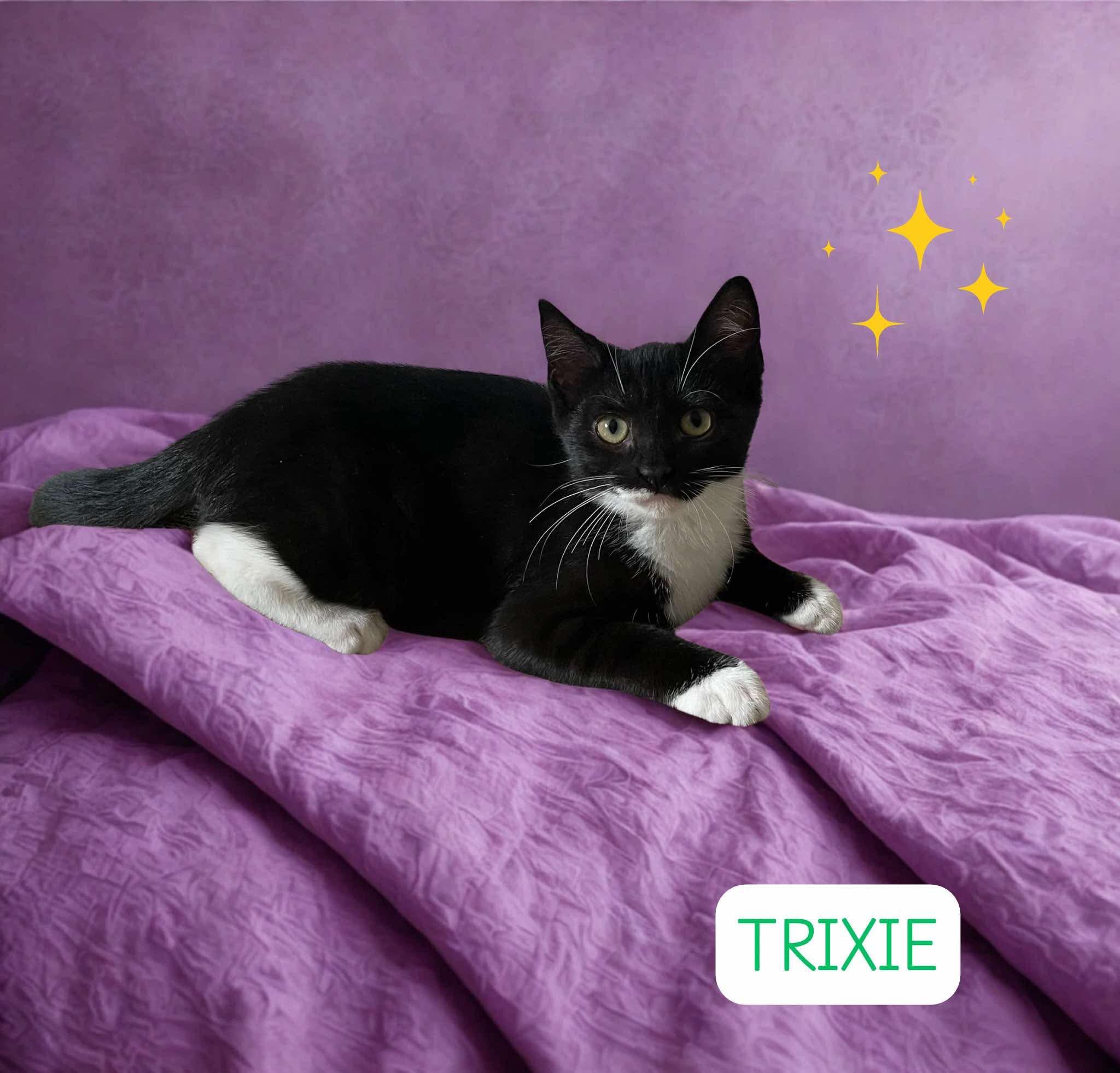 Trixie
