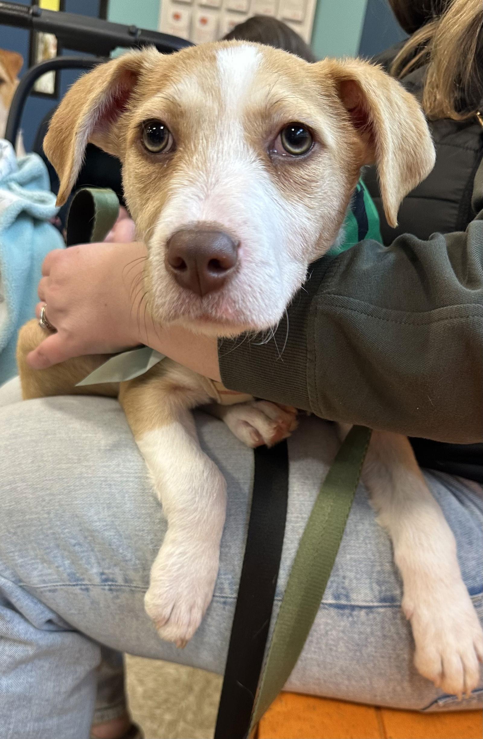 Teddy Ruxpin — thumbnail 3