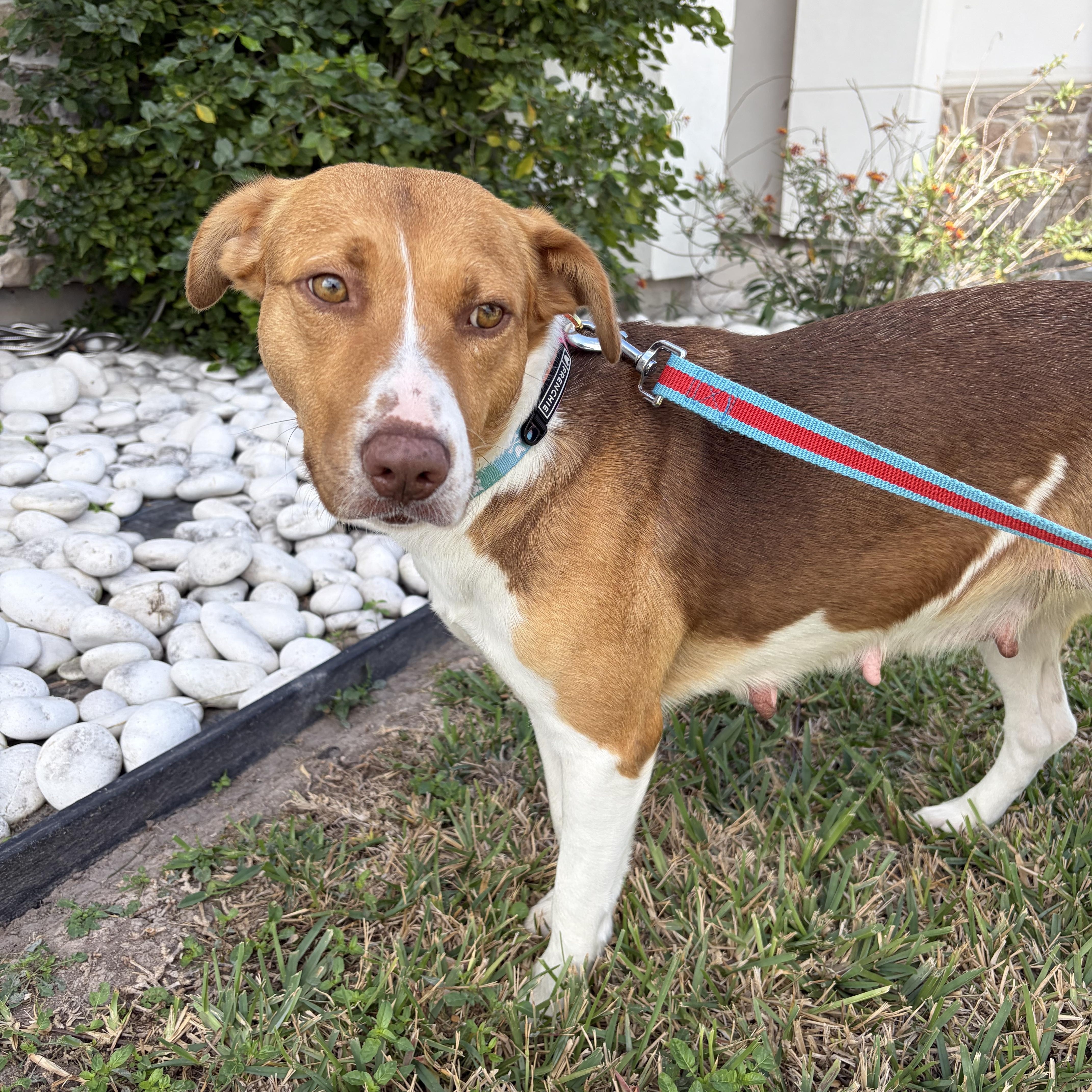 Honey — thumbnail 3