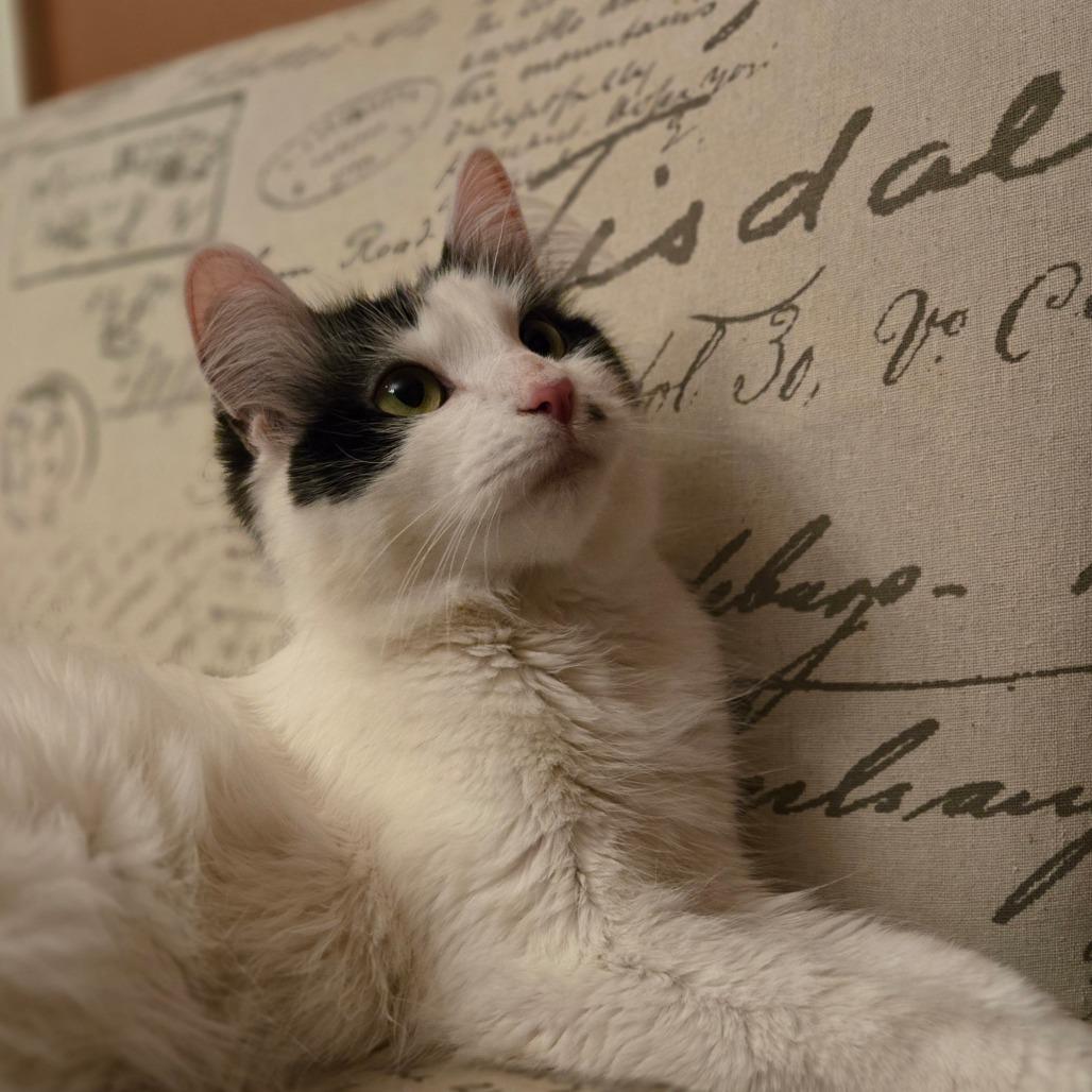 Marilyn — thumbnail 5