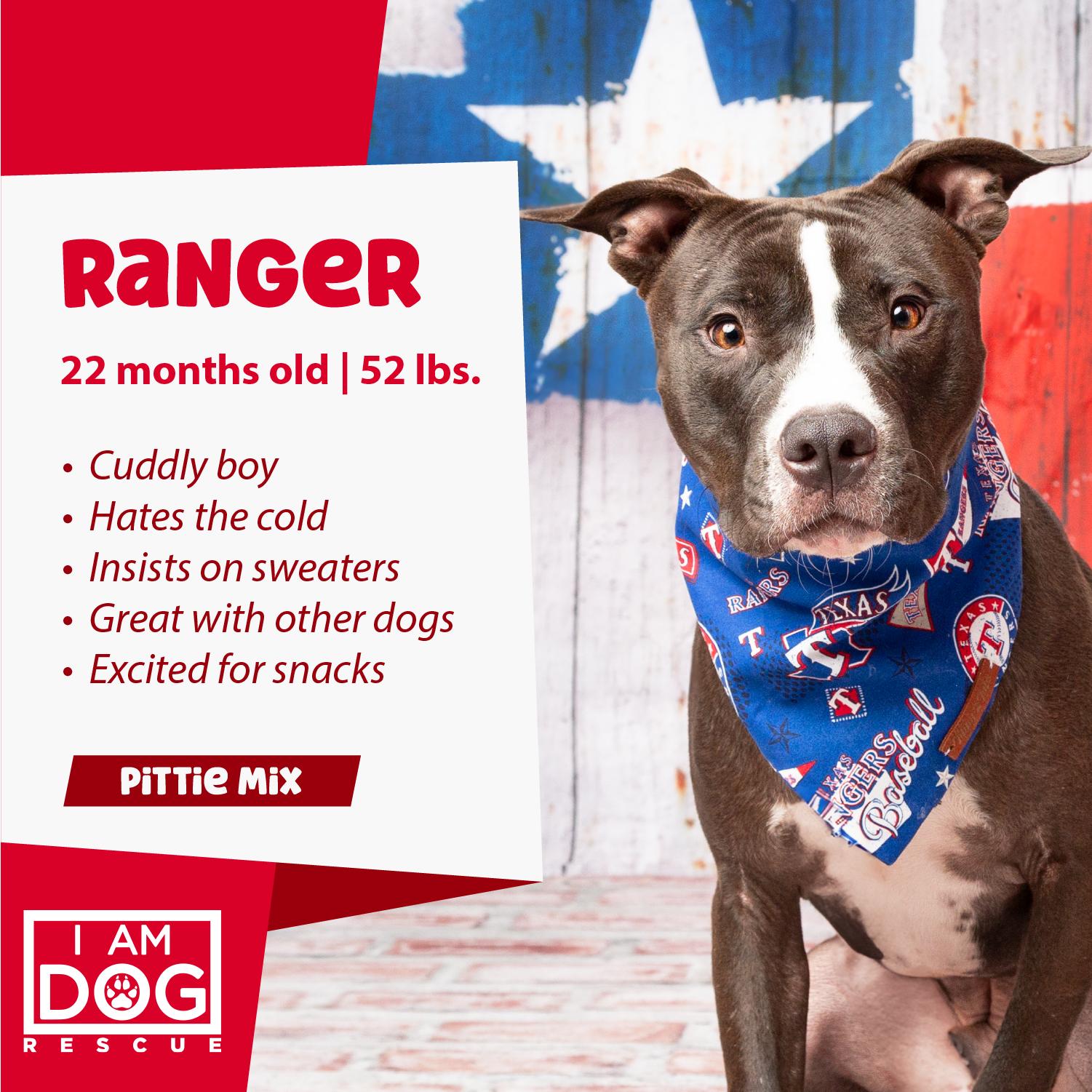 Ranger, a Adoptable mixed breed in Cross Roads, TX image 1/6
