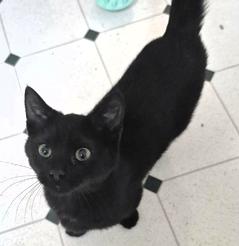 Serenity thumbnail 2