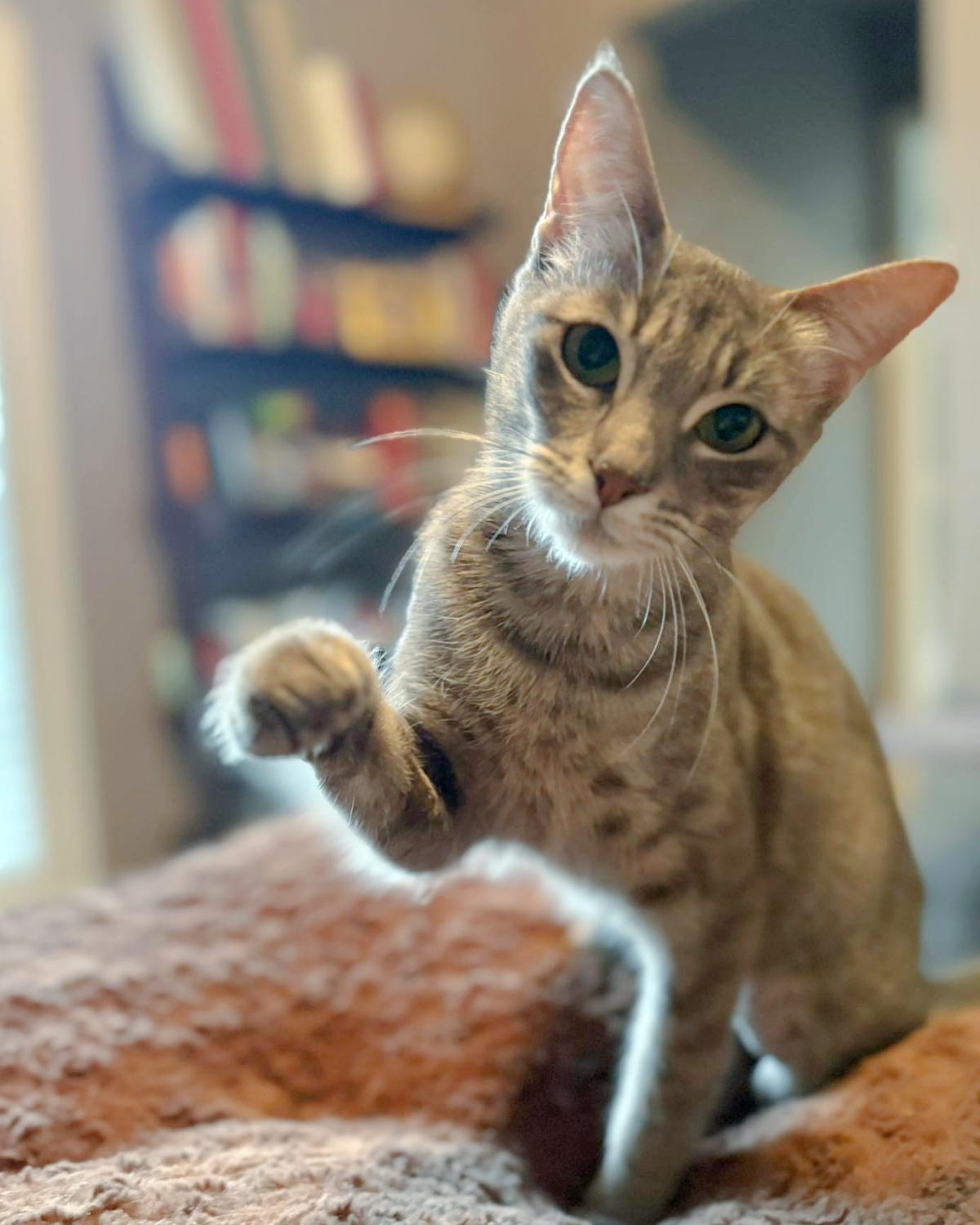 Luna