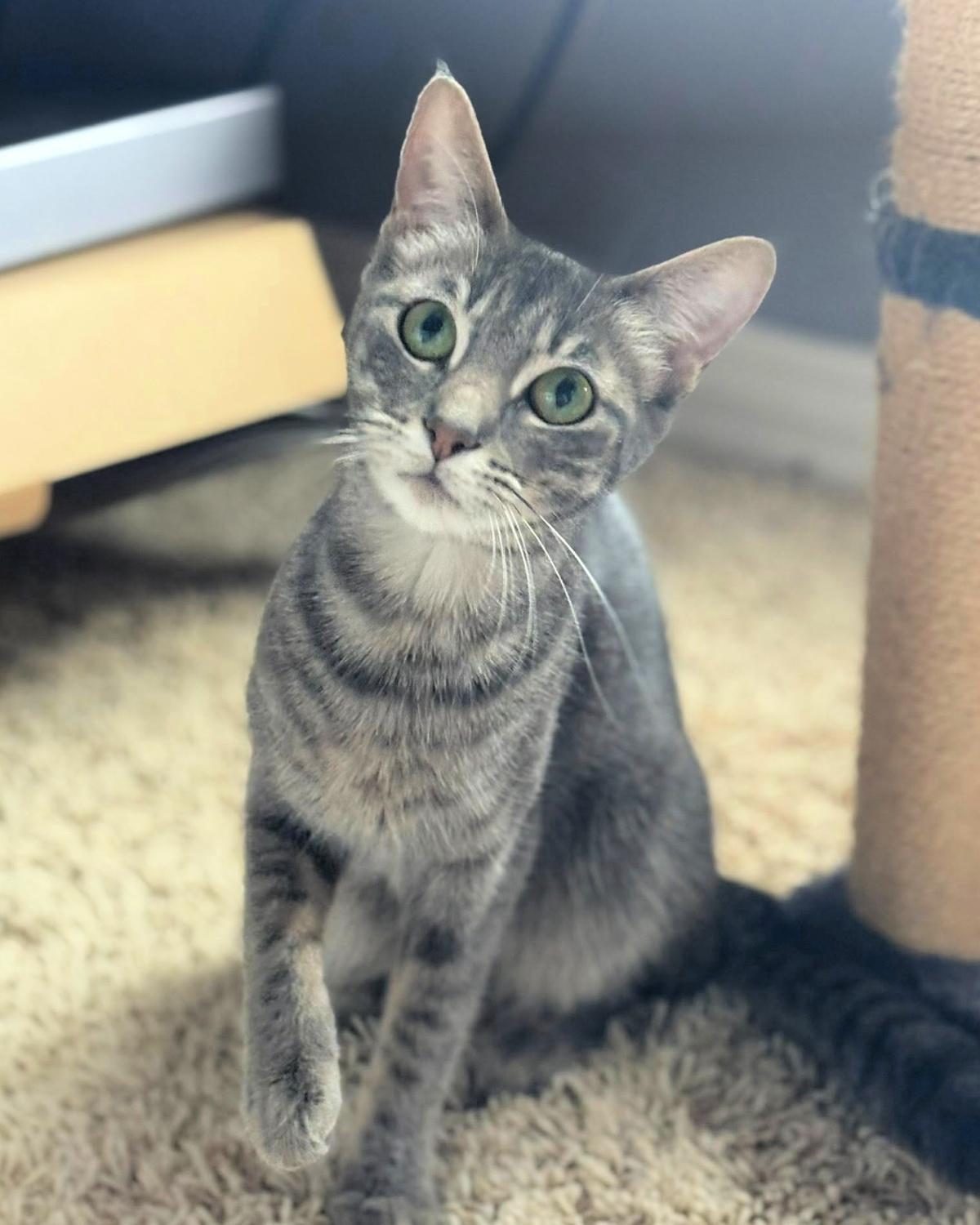 Luna