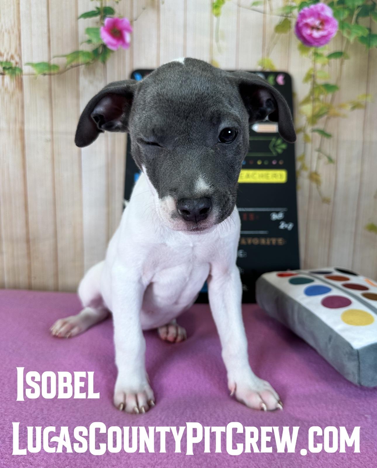 Isobel