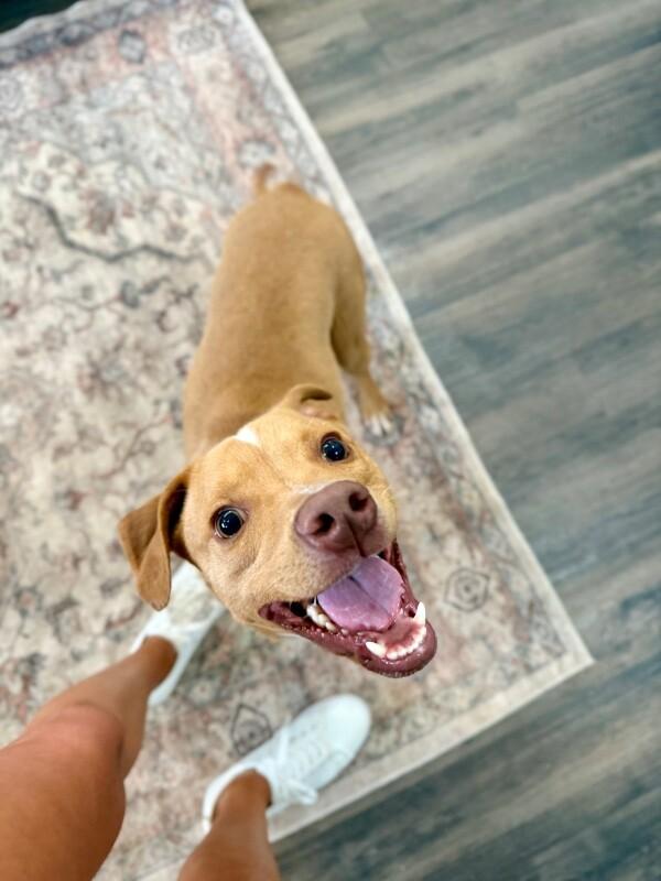 Jay Smiles The Little Ray Of Sunshine