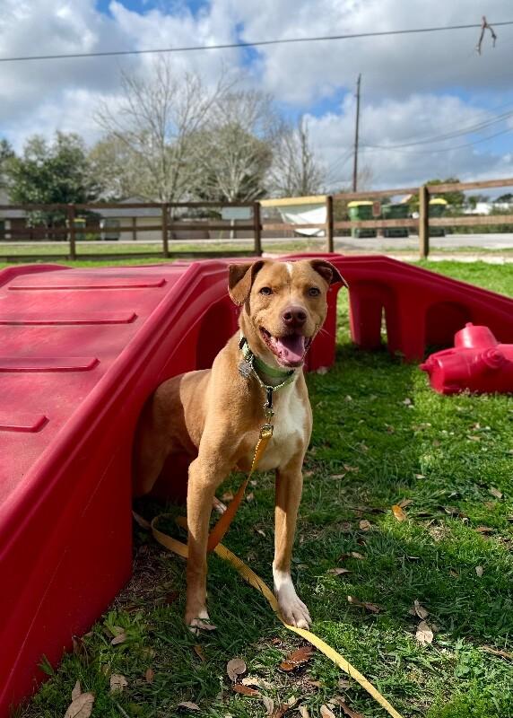 Jay Smiles The Little Ray Of Sunshine — thumbnail 2