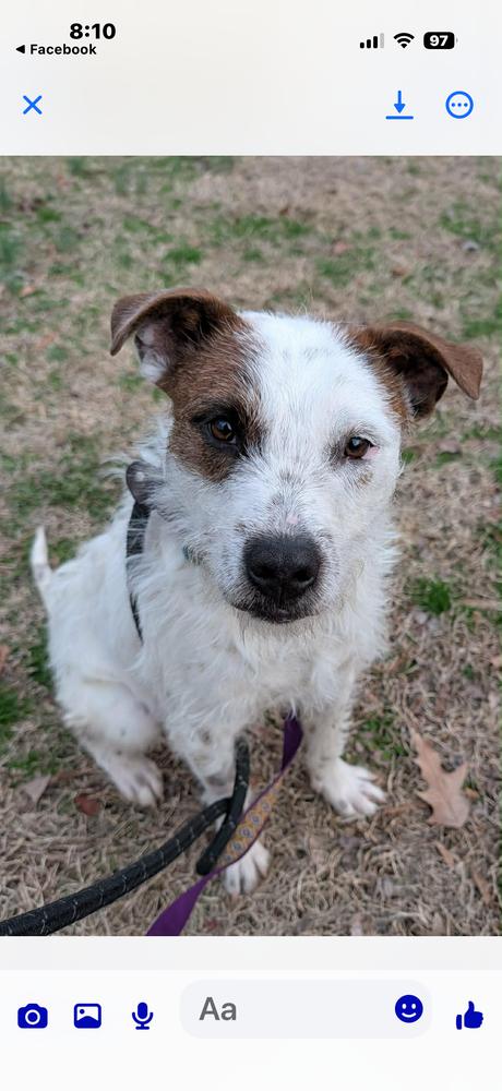 Shaggy — thumbnail 2