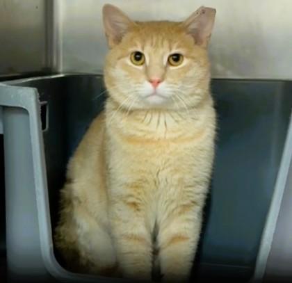 Mikey — thumbnail 3